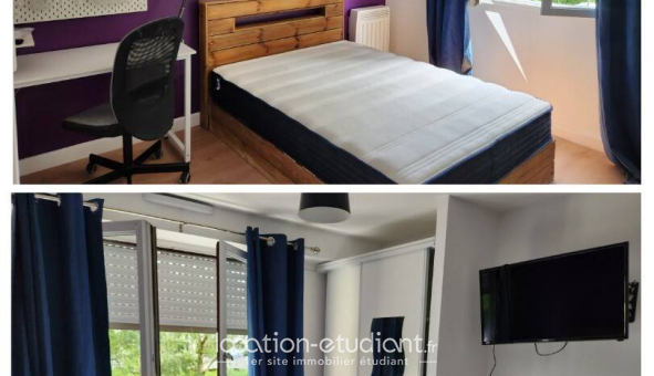 Colocation étudiante Studio &agrave; Nantes (44200)
