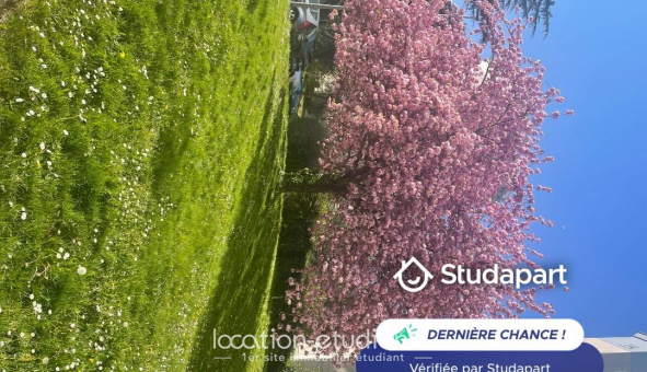 Colocation tudiante Studio à Nantes (44200)