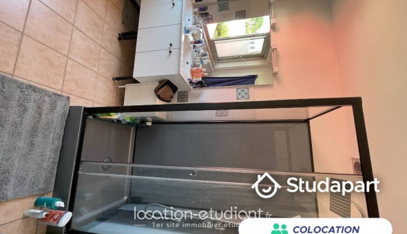 Colocation tudiante Studio à Nantes (44200)