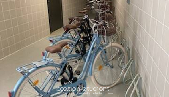 Colocation �tudiante Studio &agrave; Nantes (44200)