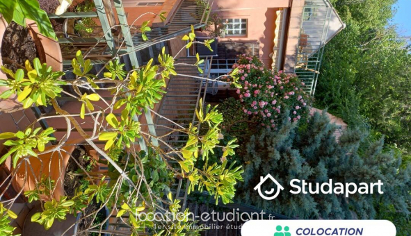 Colocation tudiante Studio à Nemours (77140)