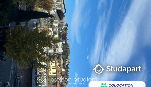 Colocation �tudiante Studio &agrave; Nice (06100)