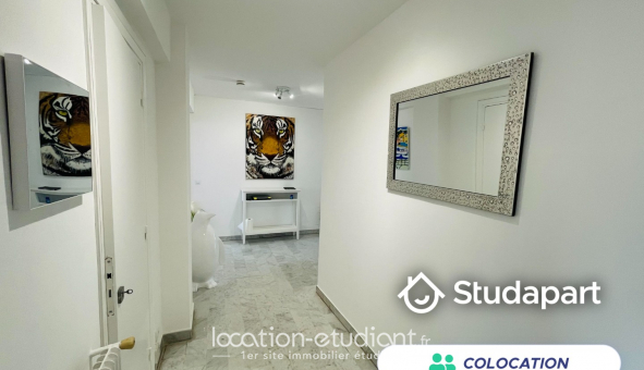 Colocation étudiante Studio à Nice (06100)