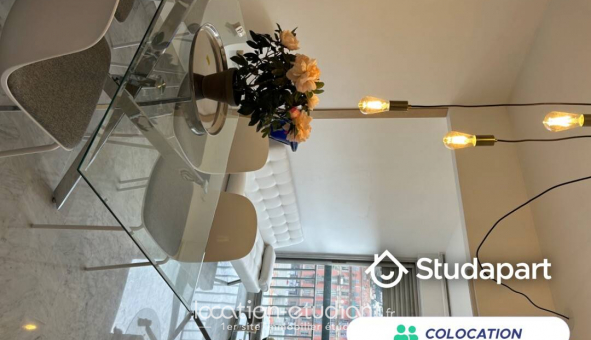 Colocation tudiante Studio à Nice (06100)
