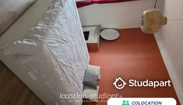 Colocation tudiante Chambre dans une colocation de 15m2