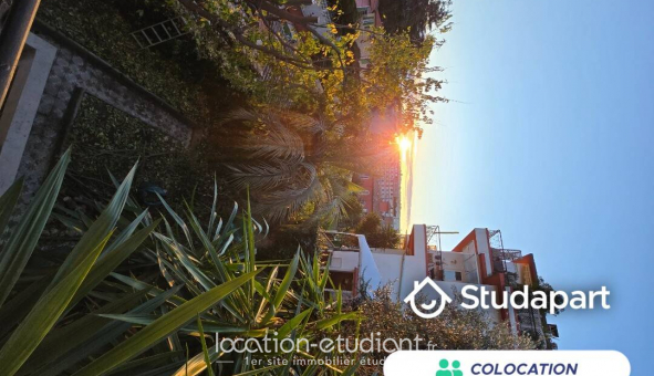 Colocation tudiante Studio à Nice (06100)