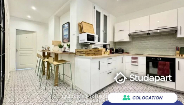 Colocation �tudiante Studio &agrave; Nice (06100)