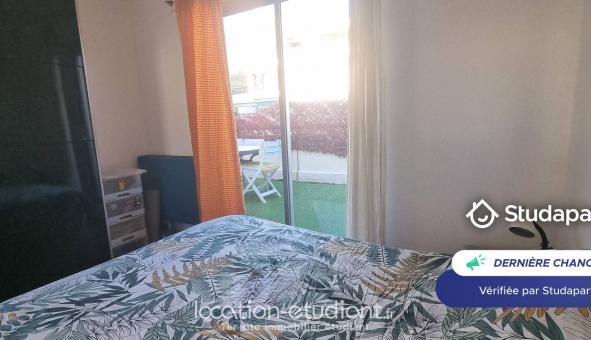 Colocation �tudiante Studio &agrave; Nice (06100)