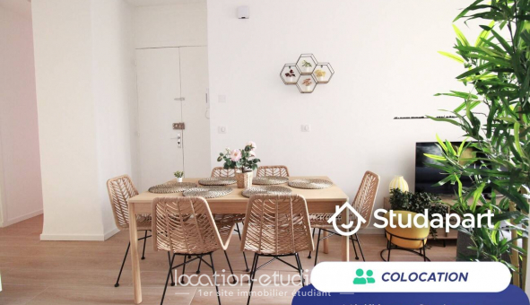 Colocation �tudiante Studio &agrave; Nice (06100)