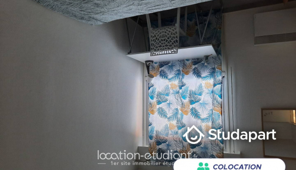 Colocation �tudiante Studio &agrave; Nice (06100)