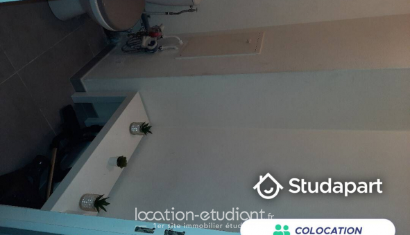 Colocation �tudiante Studio &agrave; Nice (06100)