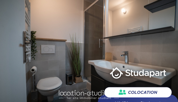 Colocation �tudiante Studio &agrave; Noisiel (77186)