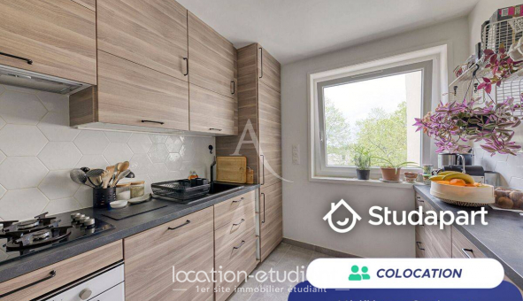 Colocation �tudiante Studio &agrave; Noisiel (77186)