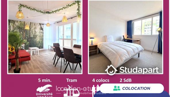 Colocation tudiante Chambre dans une colocation de 12m2