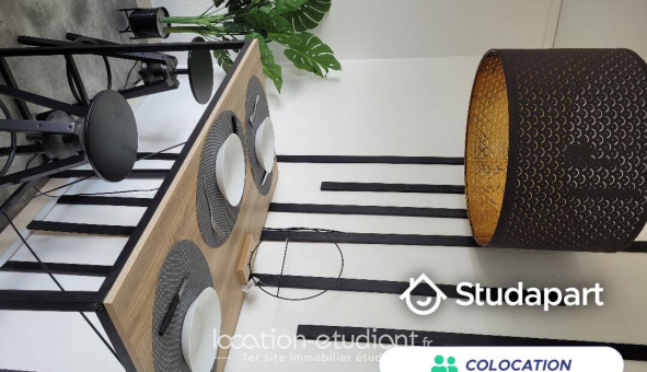 Colocation tudiante Studio à Orlinas (69530)