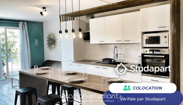 Colocation �tudiante Studio &agrave; Orli�nas (69530)