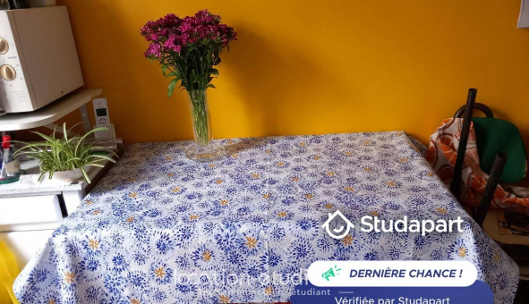 Colocation tudiante Studio à Pantin (93500)