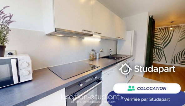 Colocation tudiante Colocation à Paris 15me arrondissement (75015)