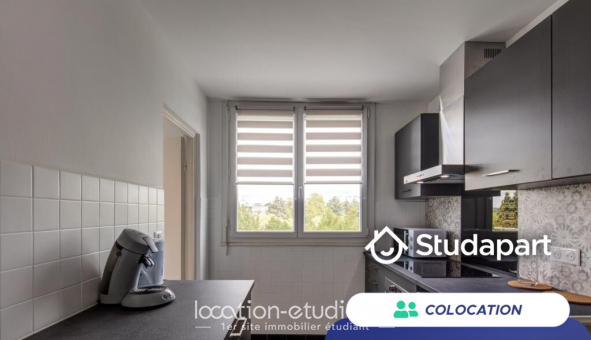 Colocation tudiante T4 à Pau (64000)