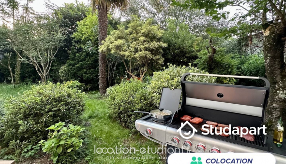 Colocation tudiante Studio à Pau (64000)