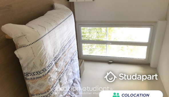 Colocation tudiante Studio à Pau (64000)