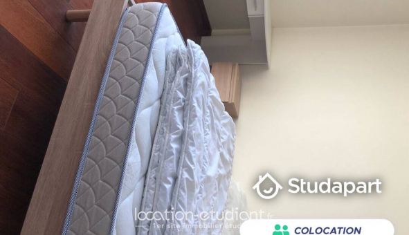 Colocation tudiante Studio à Pau (64000)