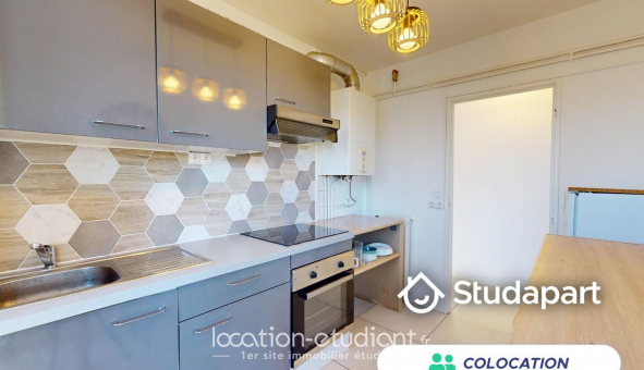 Colocation �tudiante Studio &agrave; Pau (64000)