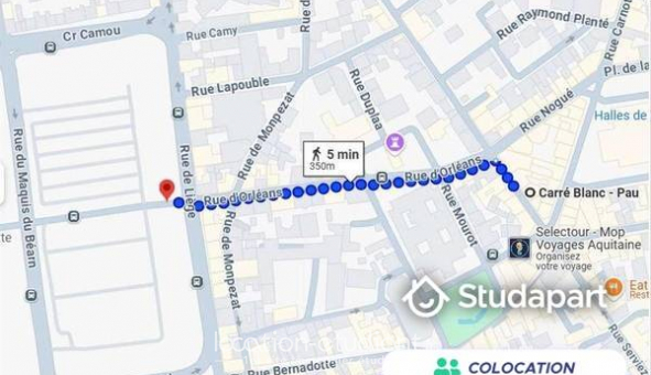 Colocation �tudiante Studio &agrave; Pau (64000)