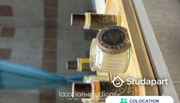Colocation tudiante Studio à Pgomas (06580)