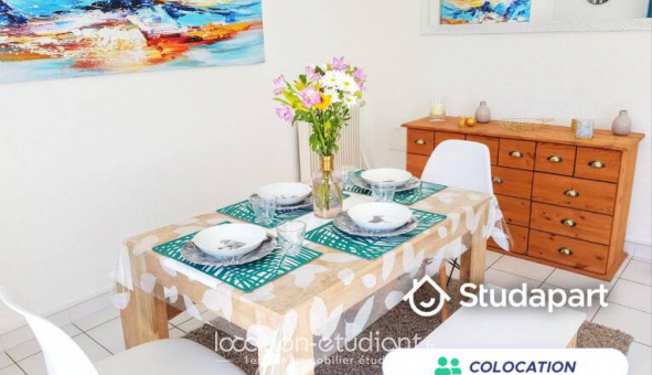 Colocation tudiante Studio à Perpignan (66100)