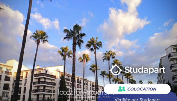 Colocation tudiante Studio à Perpignan (66100)