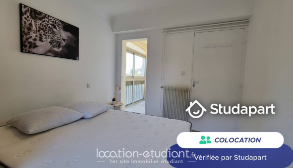Colocation �tudiante Studio &agrave; Perpignan (66100)