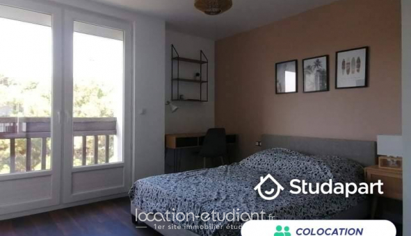 Colocation �tudiante Studio &agrave; Perpignan (66100)