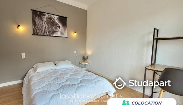 Colocation �tudiante Studio &agrave; Perpignan (66100)