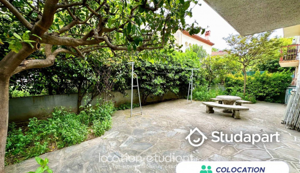 Colocation �tudiante Studio &agrave; Perpignan (66100)