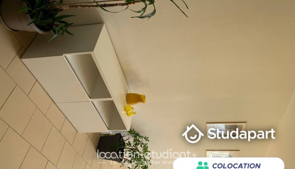 Colocation tudiante Chambre dans une colocation de 9m2