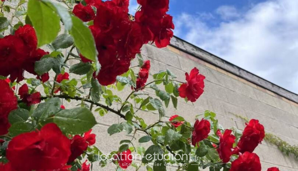 Colocation tudiante Chambre dans une colocation de 11m2