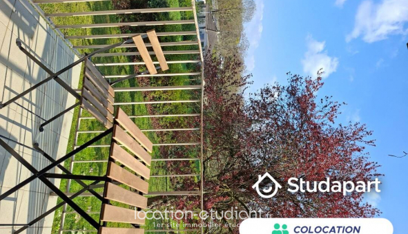 Colocation �tudiante Studio &agrave; Reims (51100)