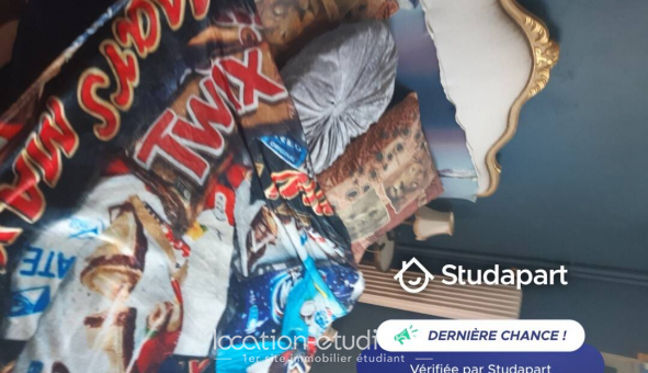Colocation tudiante Studio à Rennes (35000)