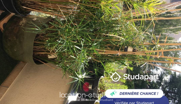 Colocation tudiante Studio à Rennes (35000)