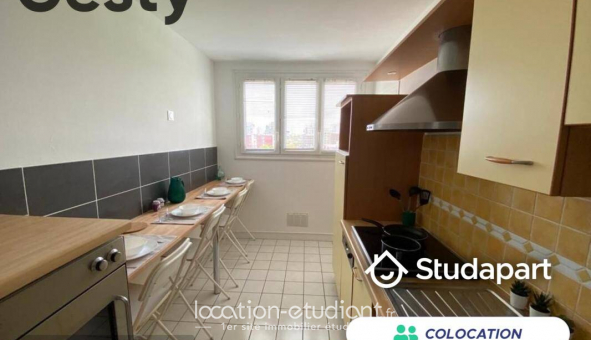 Colocation �tudiante Studio &agrave; Rennes (35000)