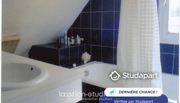 Colocation tudiante Colocation à Rennes (35000)