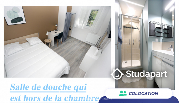 Colocation �tudiante T4 &agrave; Rennes (35000)
