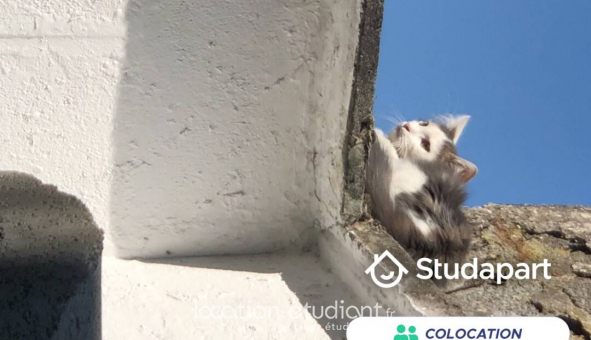 Colocation tudiante Studio à Roubaix (59100)