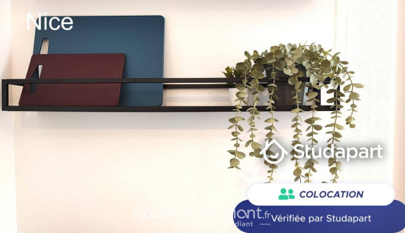 Colocation �tudiante Studio &agrave; Roubaix (59100)