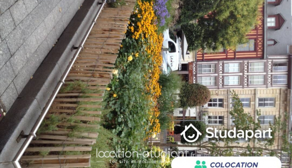 Colocation tudiante Studio à Rouen (76100)