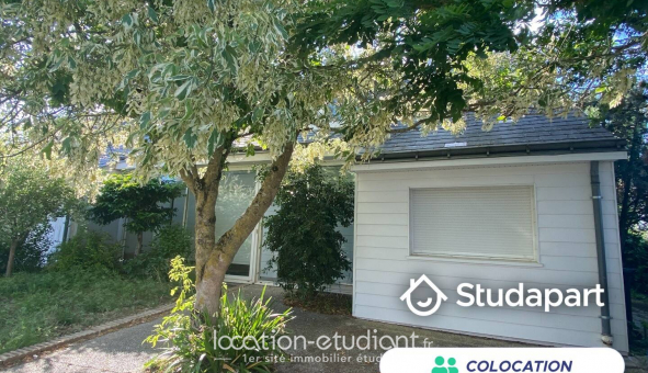 Colocation tudiante Studio à Saint Barthlemy d'Anjou (49124)