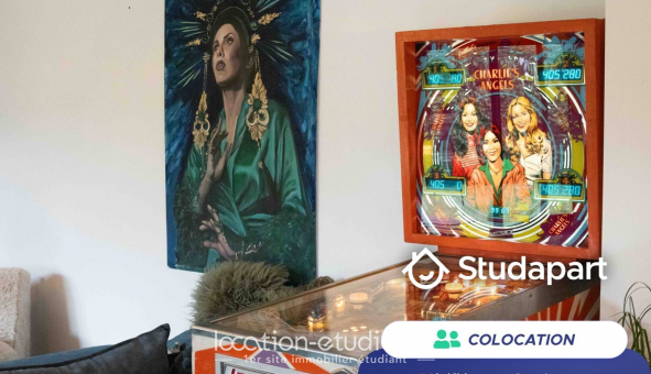 Colocation �tudiante Studio &agrave; Saint Jean de V�das (34430)