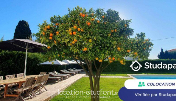Colocation tudiante Studio à Saint Laurent du Var (06700)