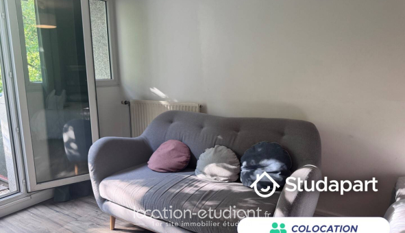 Colocation étudiante 0
